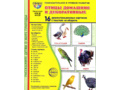 Демонстрационные картинки СУПЕР. Птицы домашние и декоративные (16 шт.) в папке