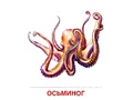 Демонстрационные картинки СУПЕР. Мир морей и океанов (16 шт.) Демонстрационные картинки СУПЕР. Мир морей и океанов (16 шт.)