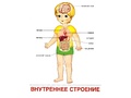 Демонстрационные картинки СУПЕР. Тело человека (16 шт.) Демонстрационные картинки СУПЕР. Тело человека (16 шт.)