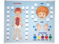 Панно "Тело человека" (88 элементов) Панно "Тело человека" (88 элементов)