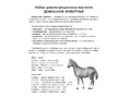 Демонстрационные картинки СУПЕР. Домашние животные (16 шт.) Демонстрационные картинки СУПЕР. Домашние животные (16 шт.)