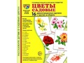 Демонстрационные картинки СУПЕР. Цветы садовые (16 шт.) Демонстрационные картинки СУПЕР. Цветы садовые (16 шт.)