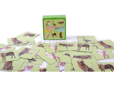 Набор магнитных карточек "Устный счет" №3 (фон зеленый) Набор магнитных карточек "Устный счет" №3 (фон зеленый)