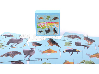 Набор магнитных карточек "Устный счет" №5 (фон голубой) Набор магнитных карточек "Устный счет" №5 (фон голубой)