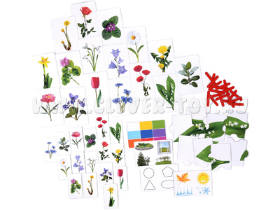 Набор магнитных карточек "Загадки-отрицания". Цветы. Набор магнитных карточек "Загадки-отрицания". Цветы.