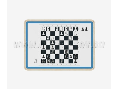 Настенные демонстрационные шахматы с комплектом фигур