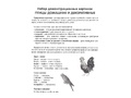 Демонстрационные картинки СУПЕР в папке. Птицы домашние и декоративные (16 шт.)