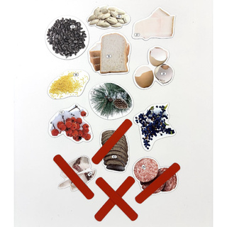 Набор магнитных карточек Что едят птицы зимой? (к плакату Птицы, тема 3)