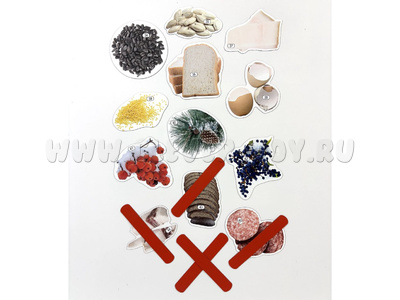 Набор магнитных карточек Что едят птицы зимой? (к плакату Птицы, тема 3)