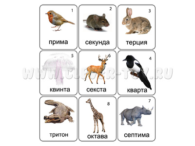 Магнитные карточки Животные (Интервалы)