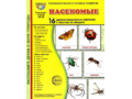 Демонстрационные картинки СУПЕР в папке. Насекомые (16 шт.)